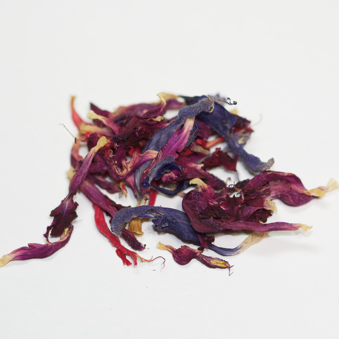 Dried Salvia Flowers