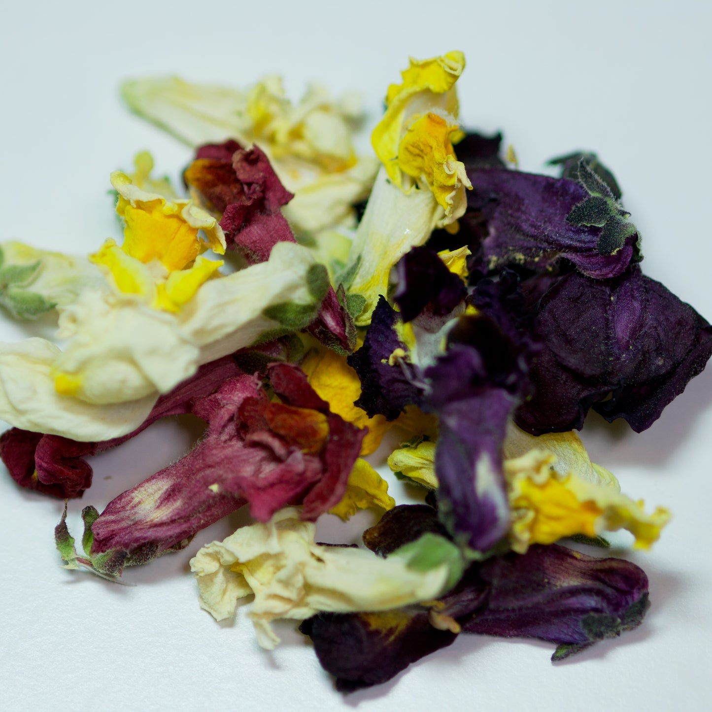 Dried Snapdragon Flowers