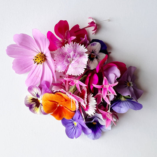 welcome to our new website!