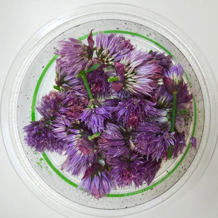 Chive Flower