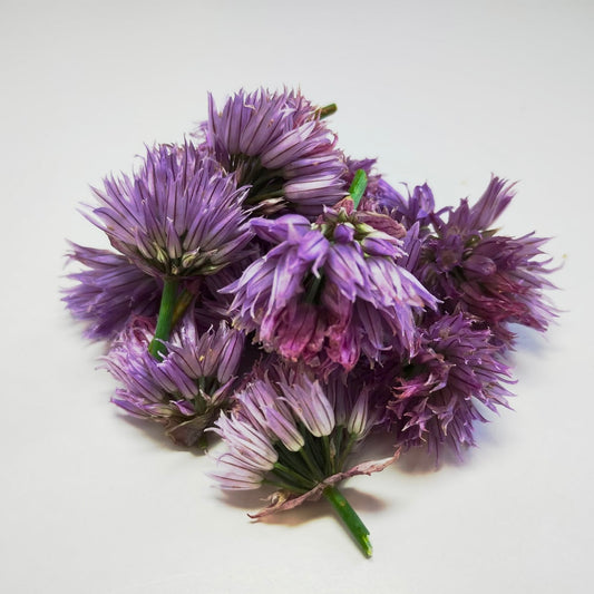 Chive Flower