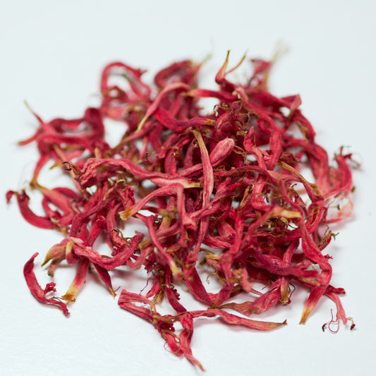 Dried Salvia Flowers