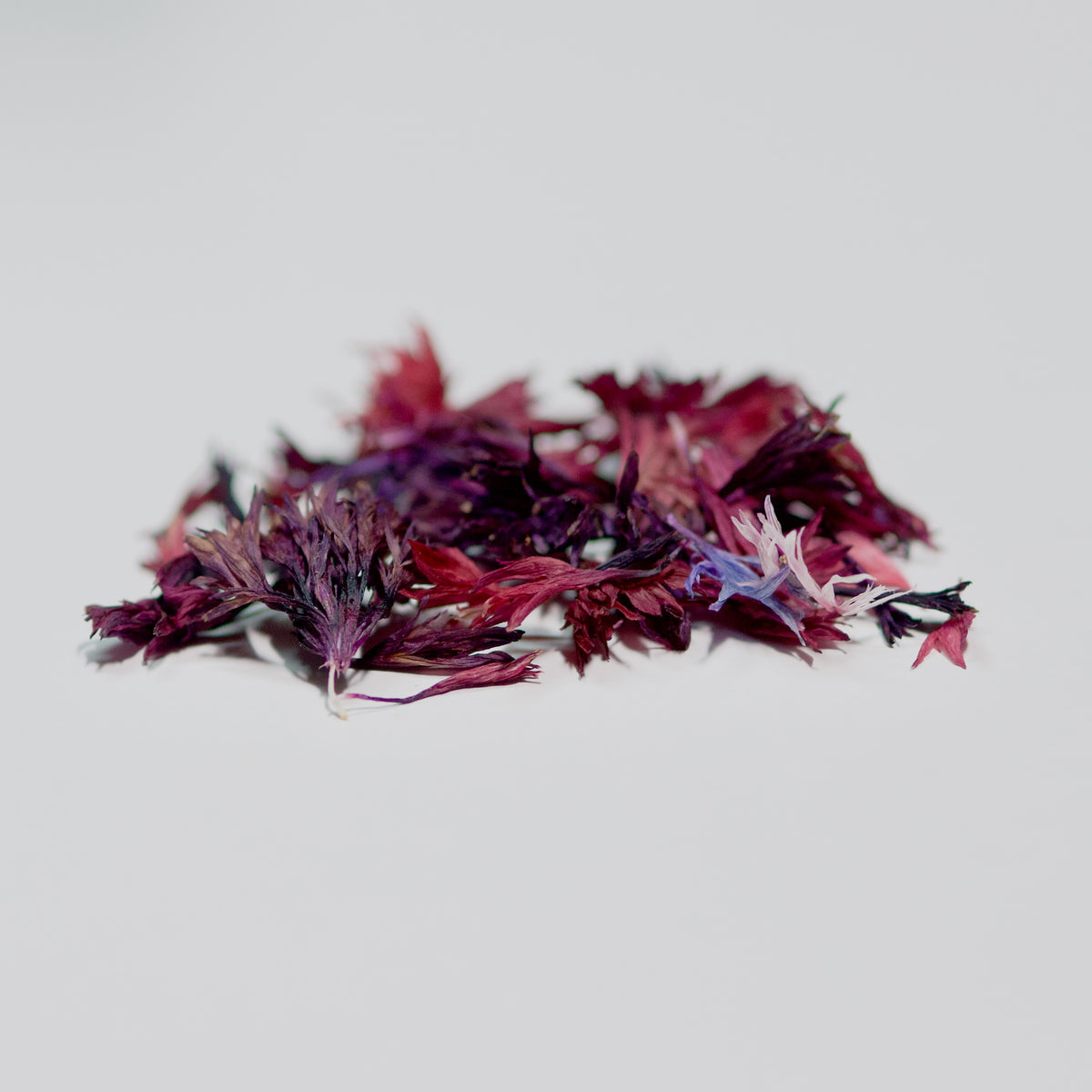 Dried Cornflower Petals