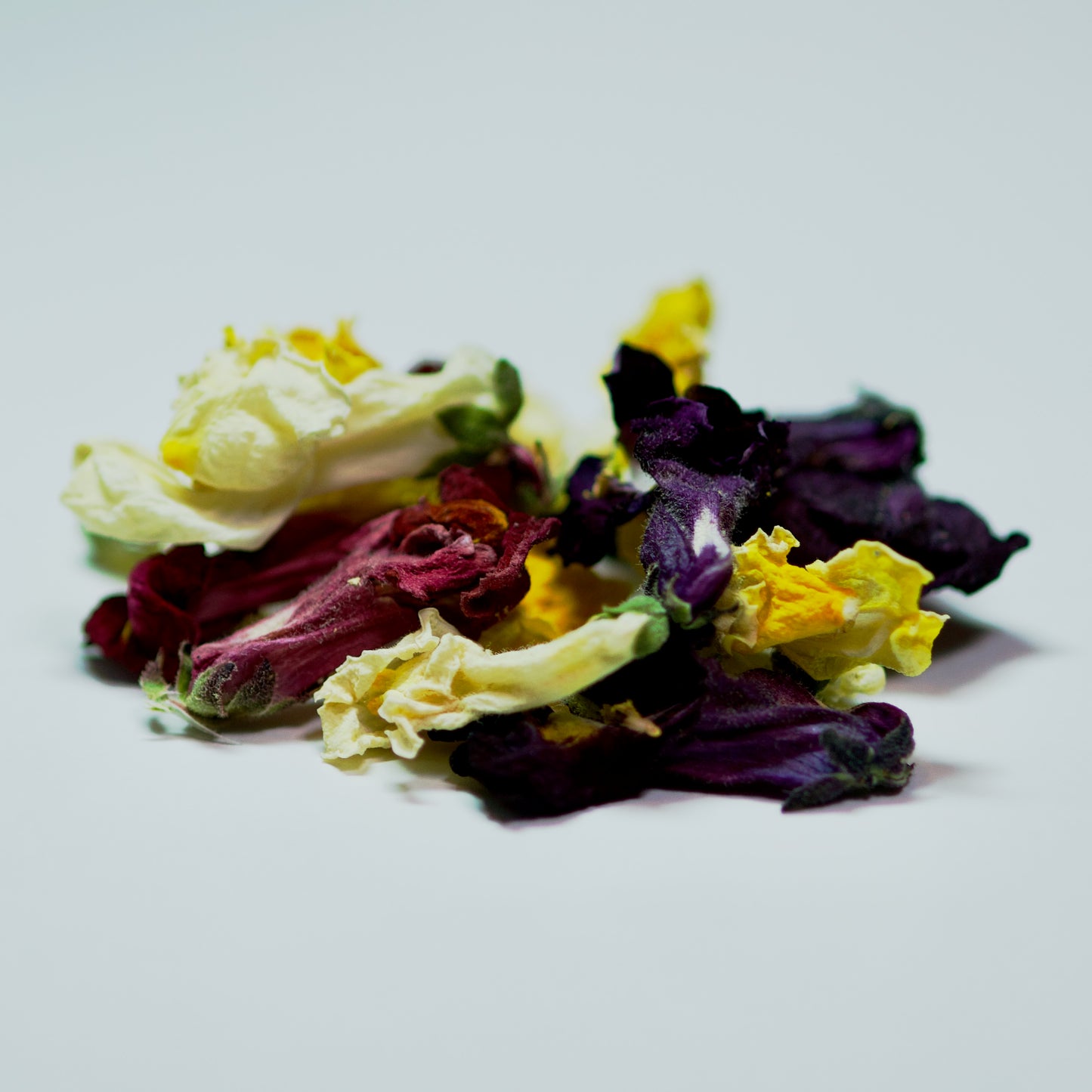 Dried Snapdragon Flowers