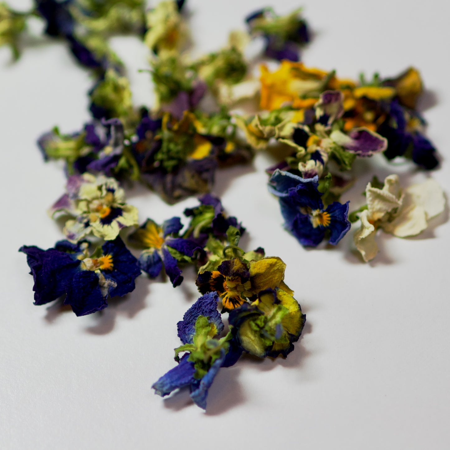 Dried Viola flowers