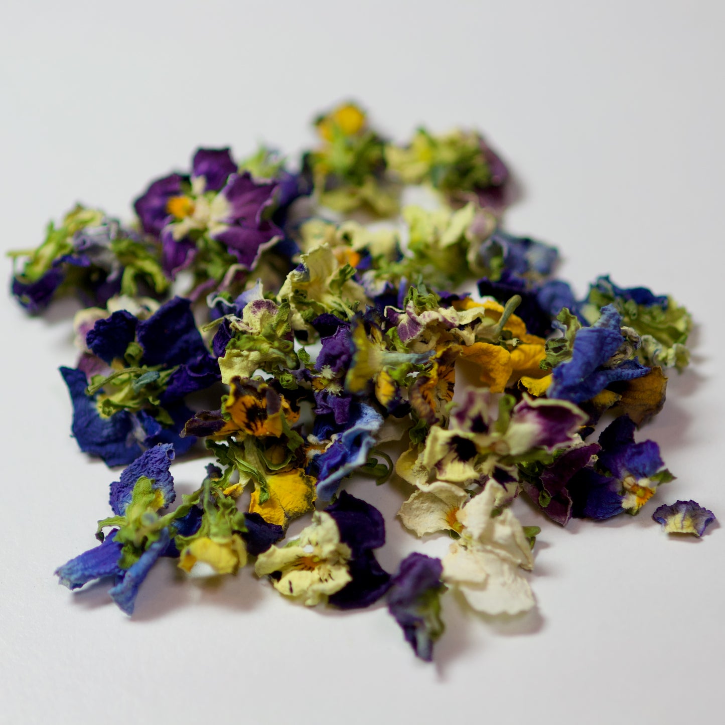 Dried Viola flowers