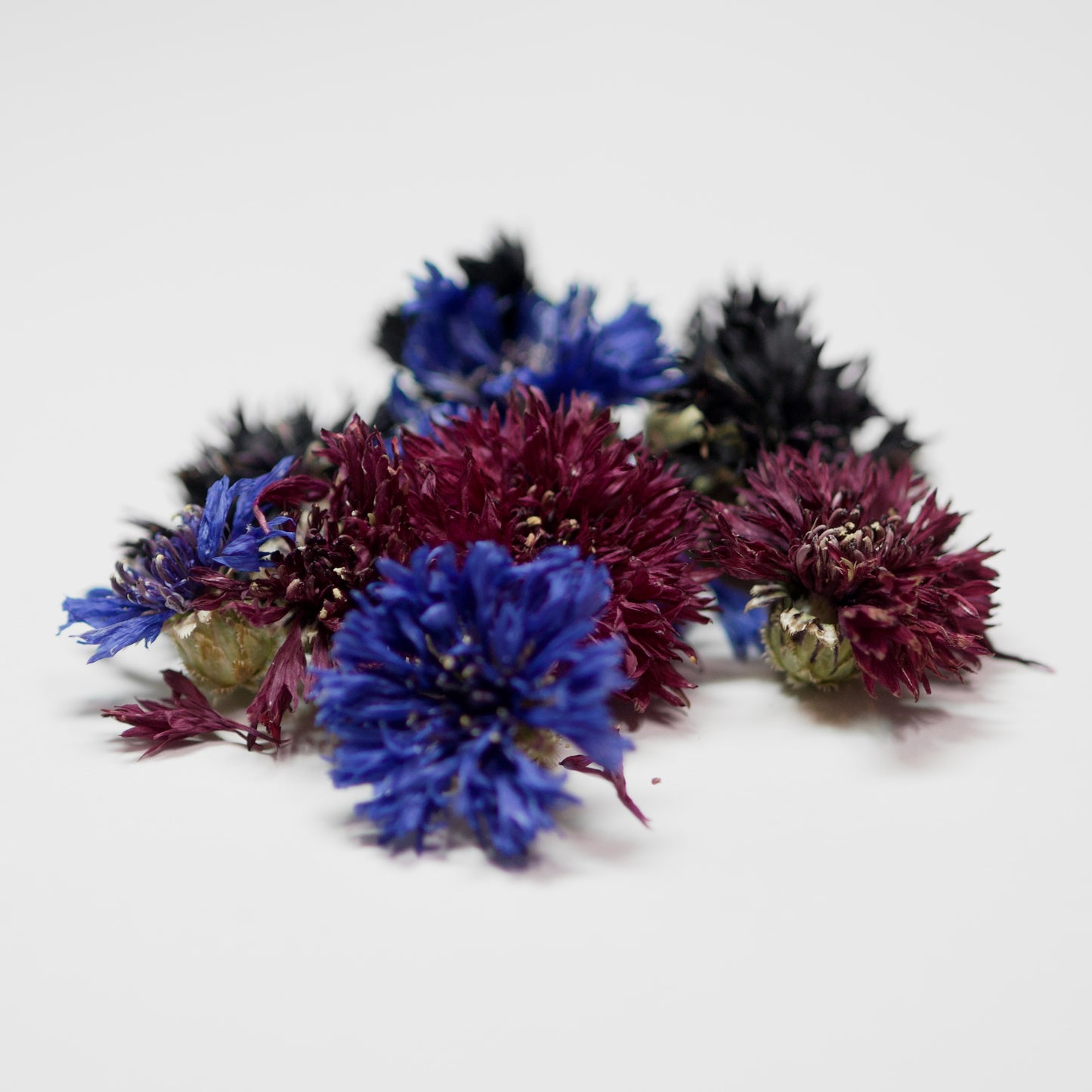 Dried cornflowers (whole)