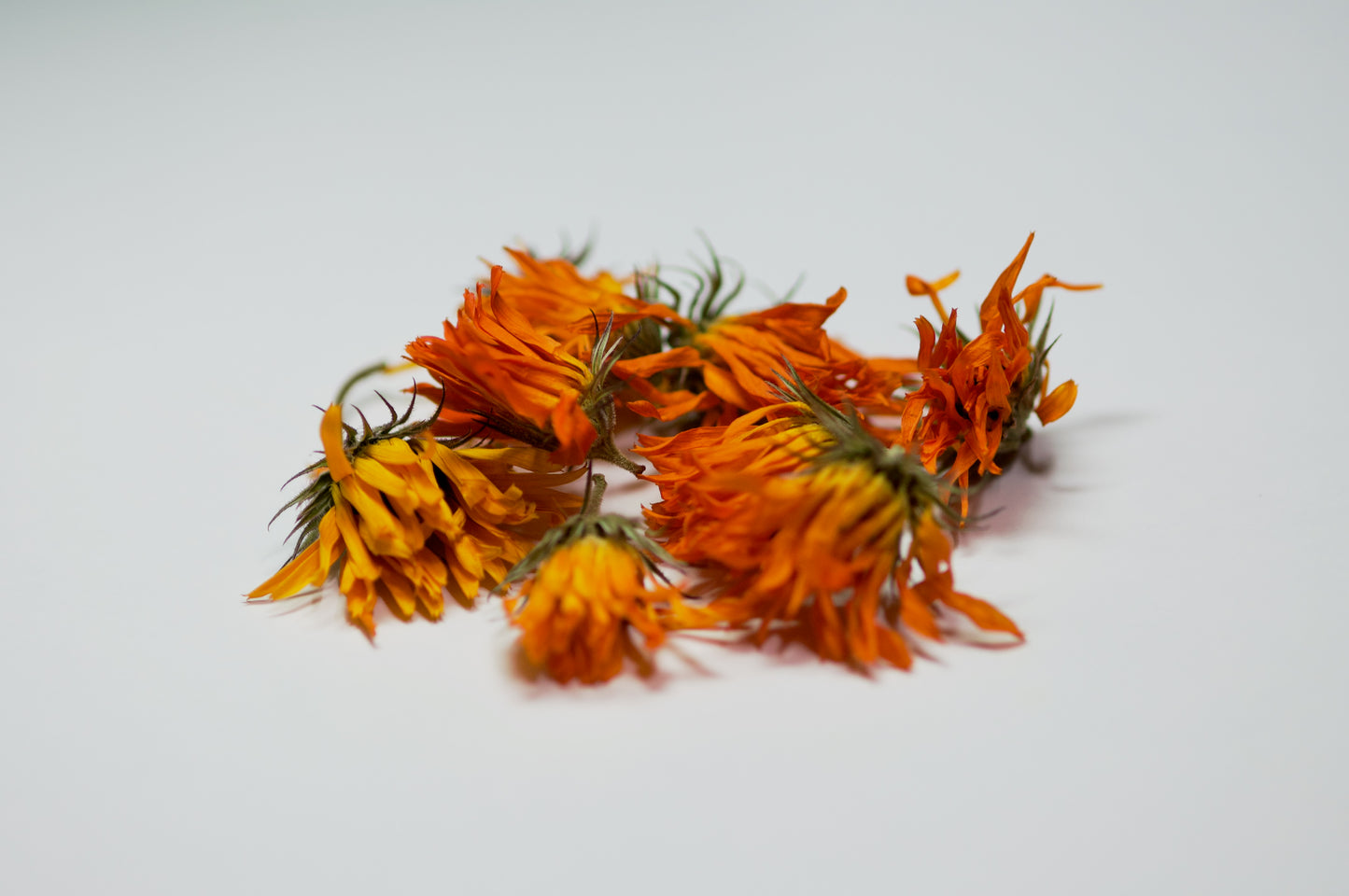 Dried Calendula Marigold Flower (whole)