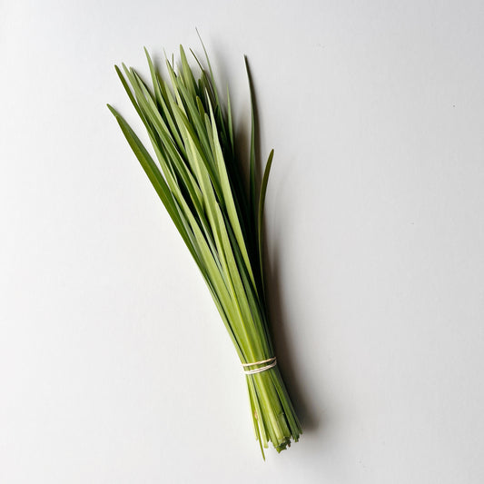 Garlic Chives