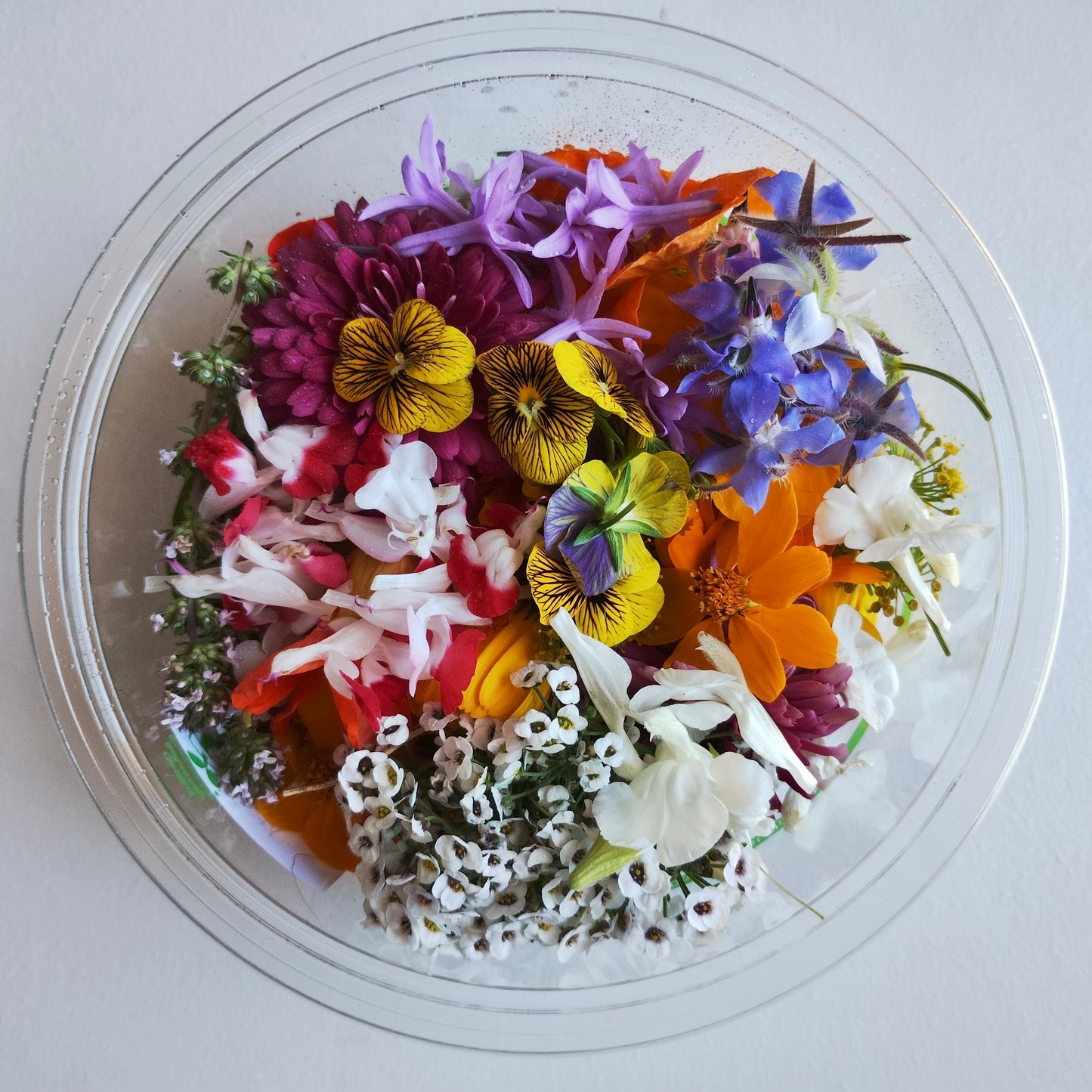 Savoury Flower Mix