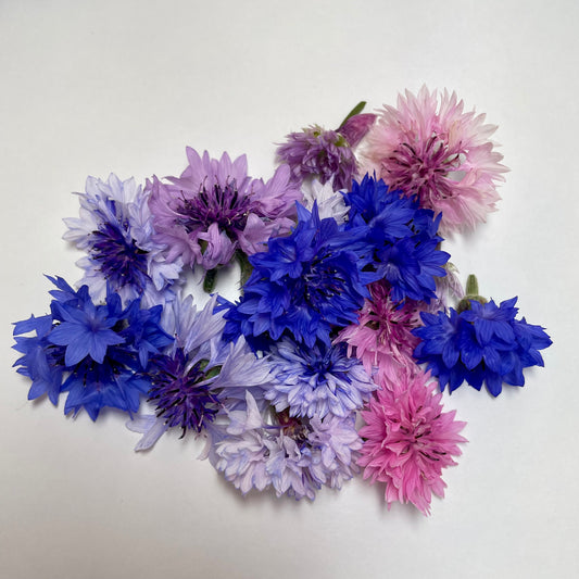 Cornflowers