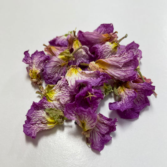 Dried Evening Primrose
