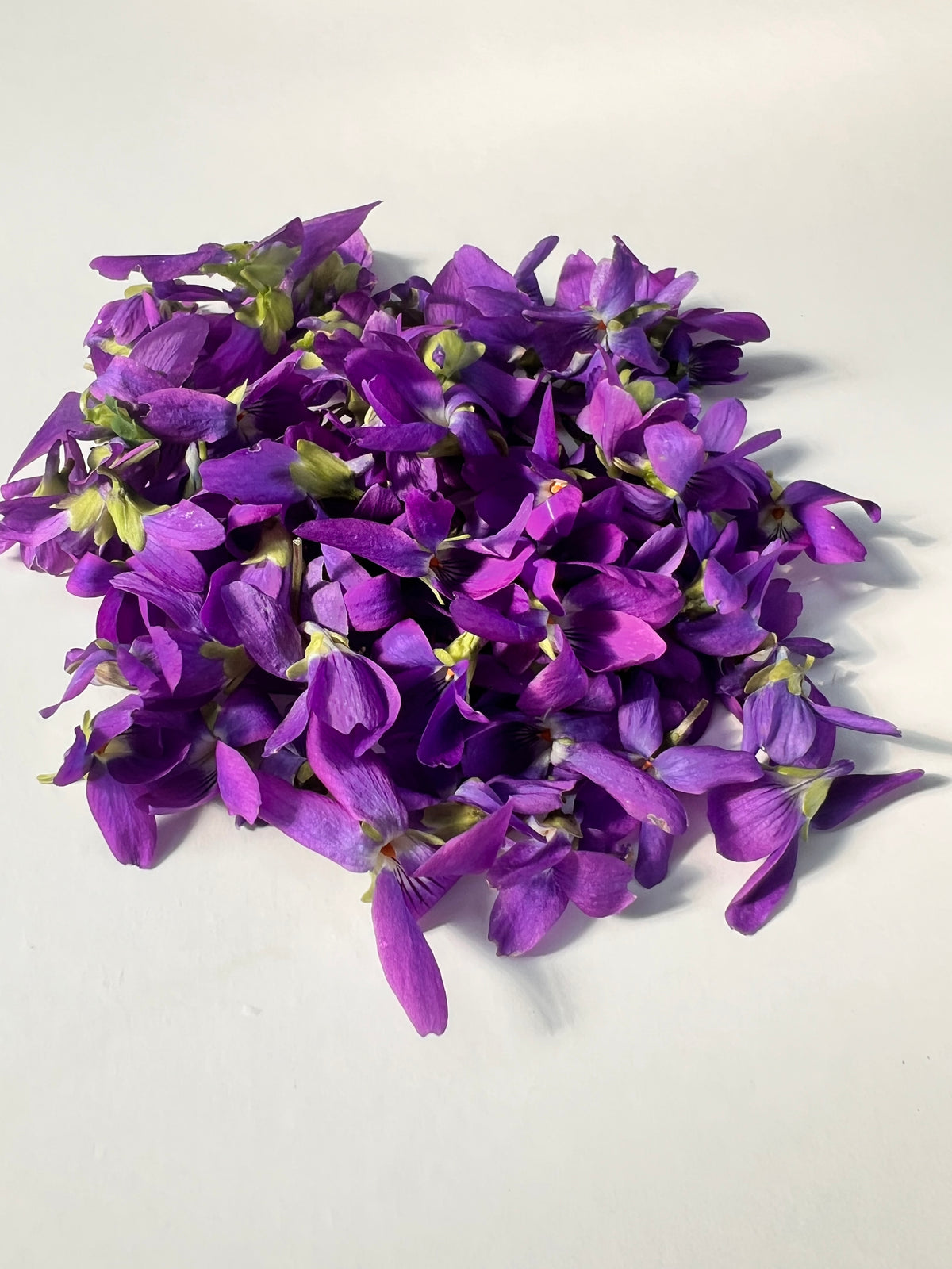 Sweet Violet Flower