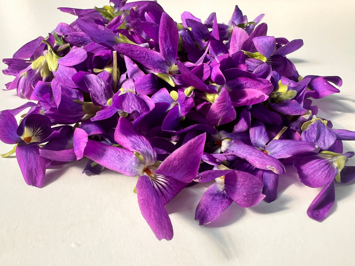 Sweet Violet Flower