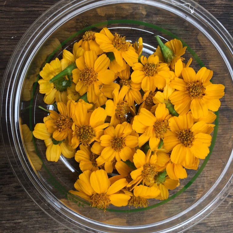 Pineapple Marigold Flower