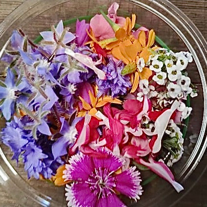 Sweet Flower Mix