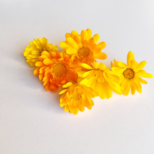 Calendula Marigold Flower